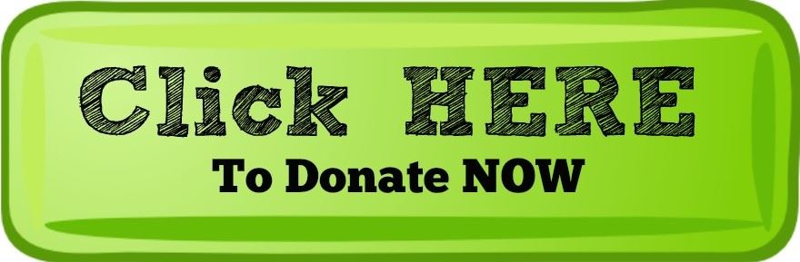 Donate Button Opens in new window